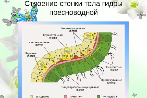 Кракен 18
