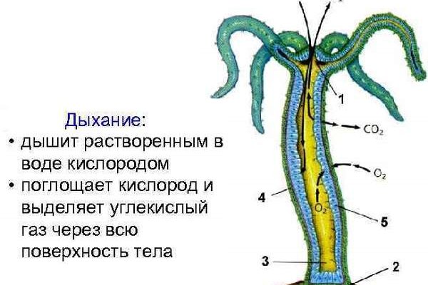 Kraken market ссылка